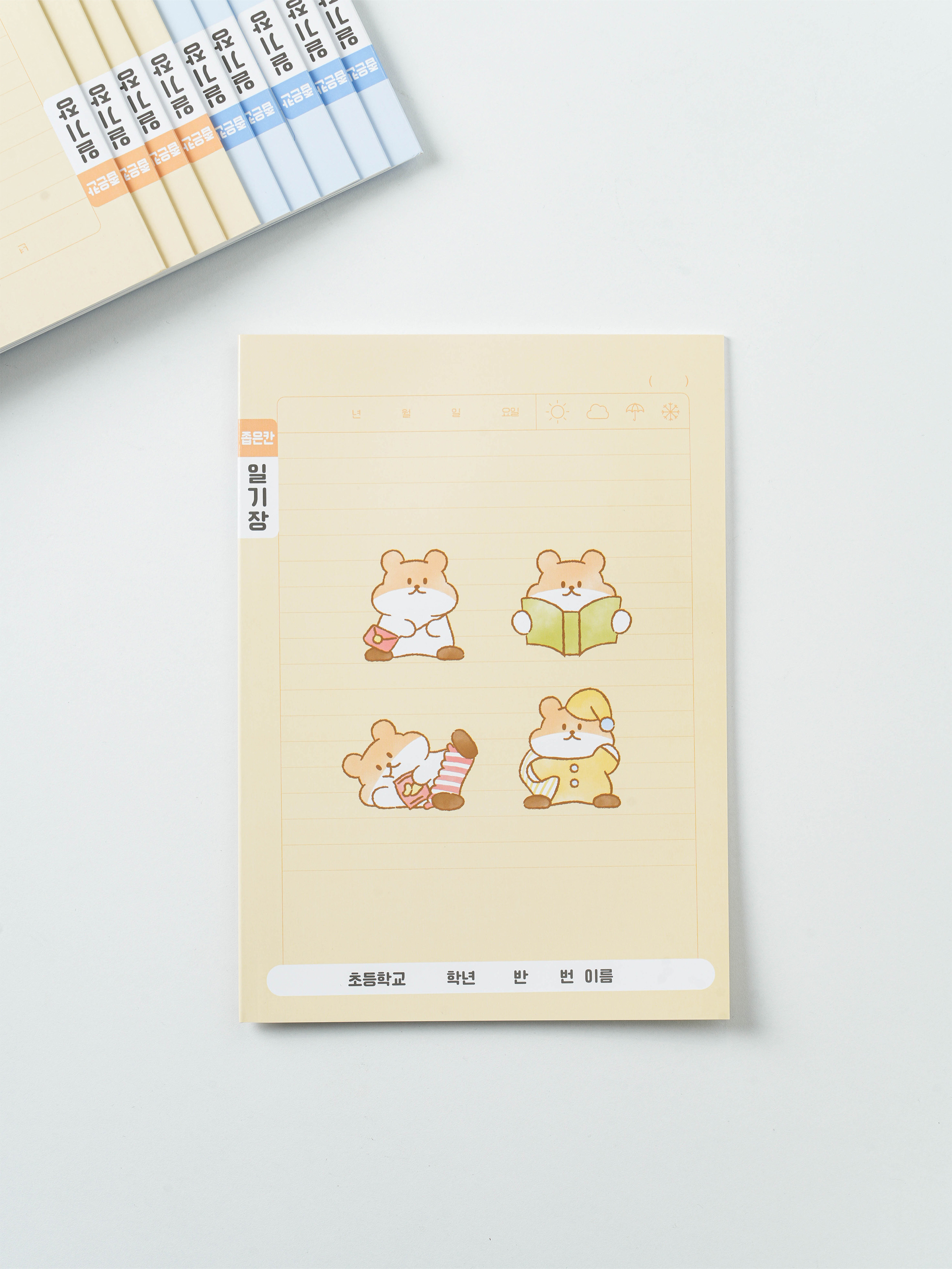 Elementary school 3-6 diary, 24 sheets, 10 books