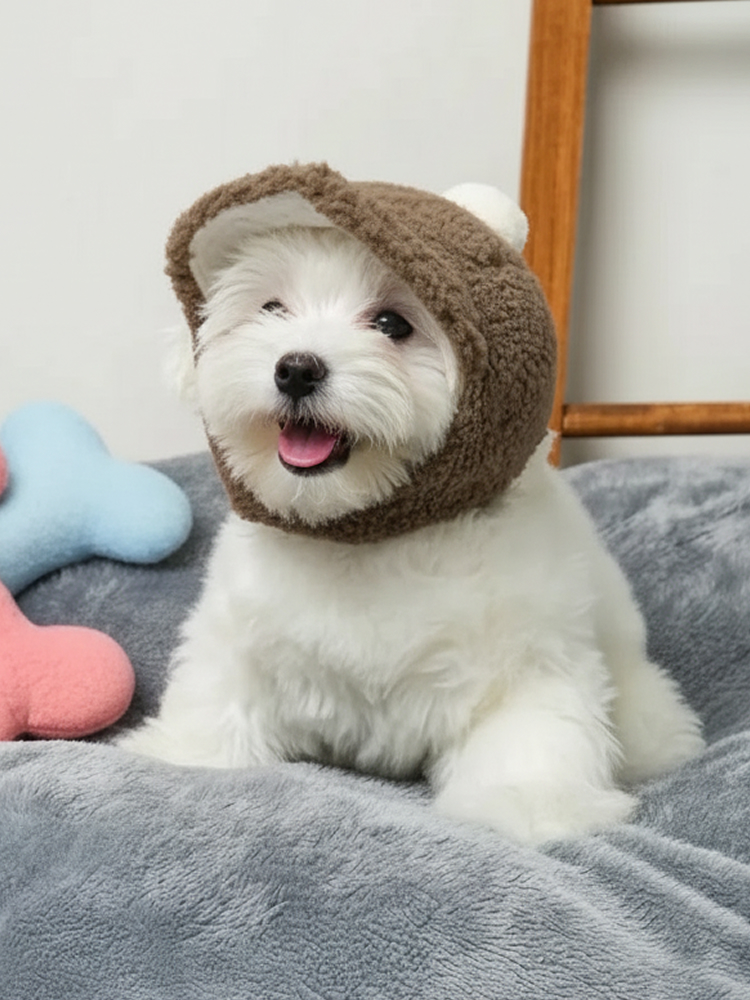 [Pet] Bubbly Bucket Cap Hat