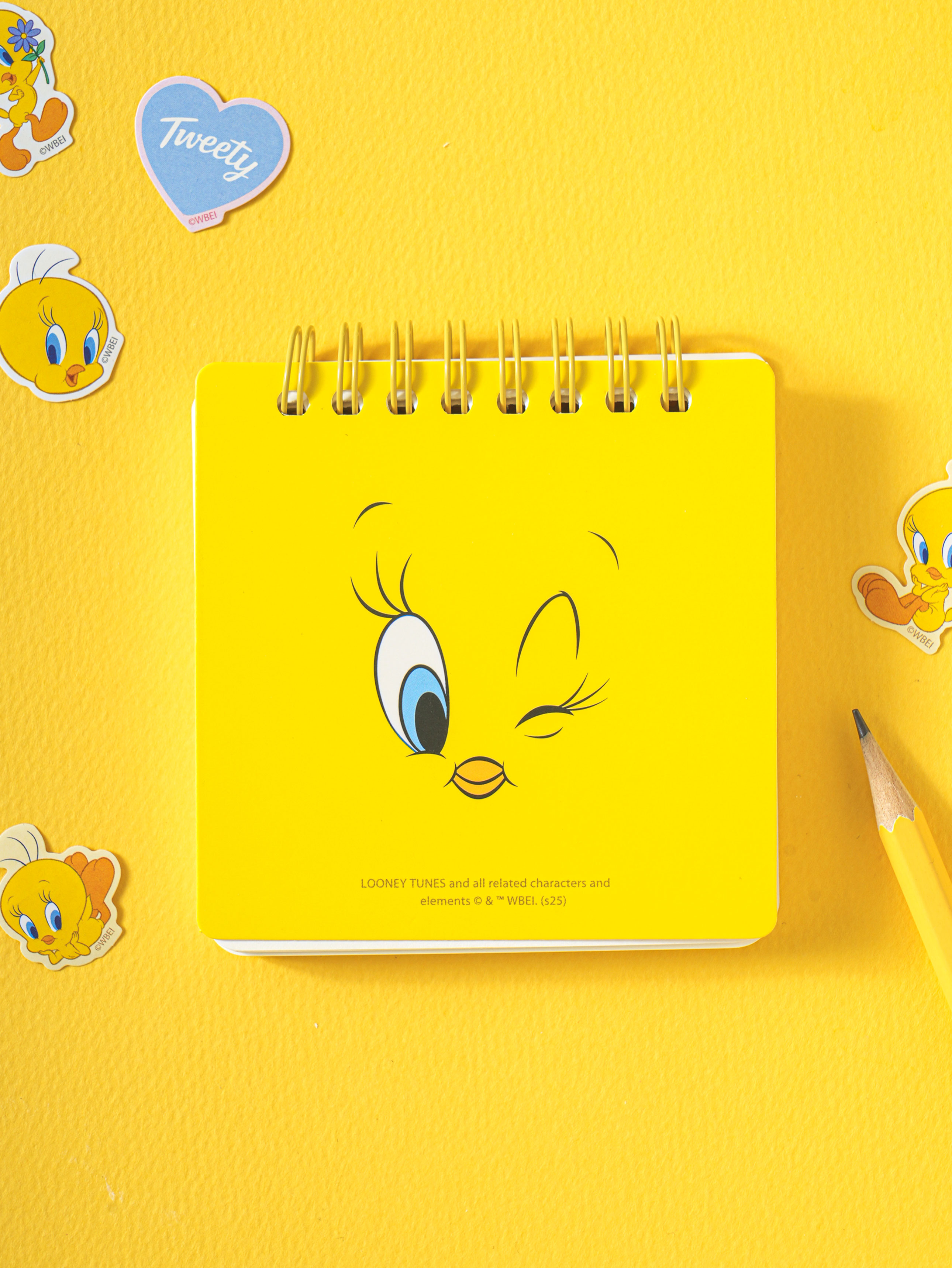 Looney Tunes_Mini Notebook (100 sheets)