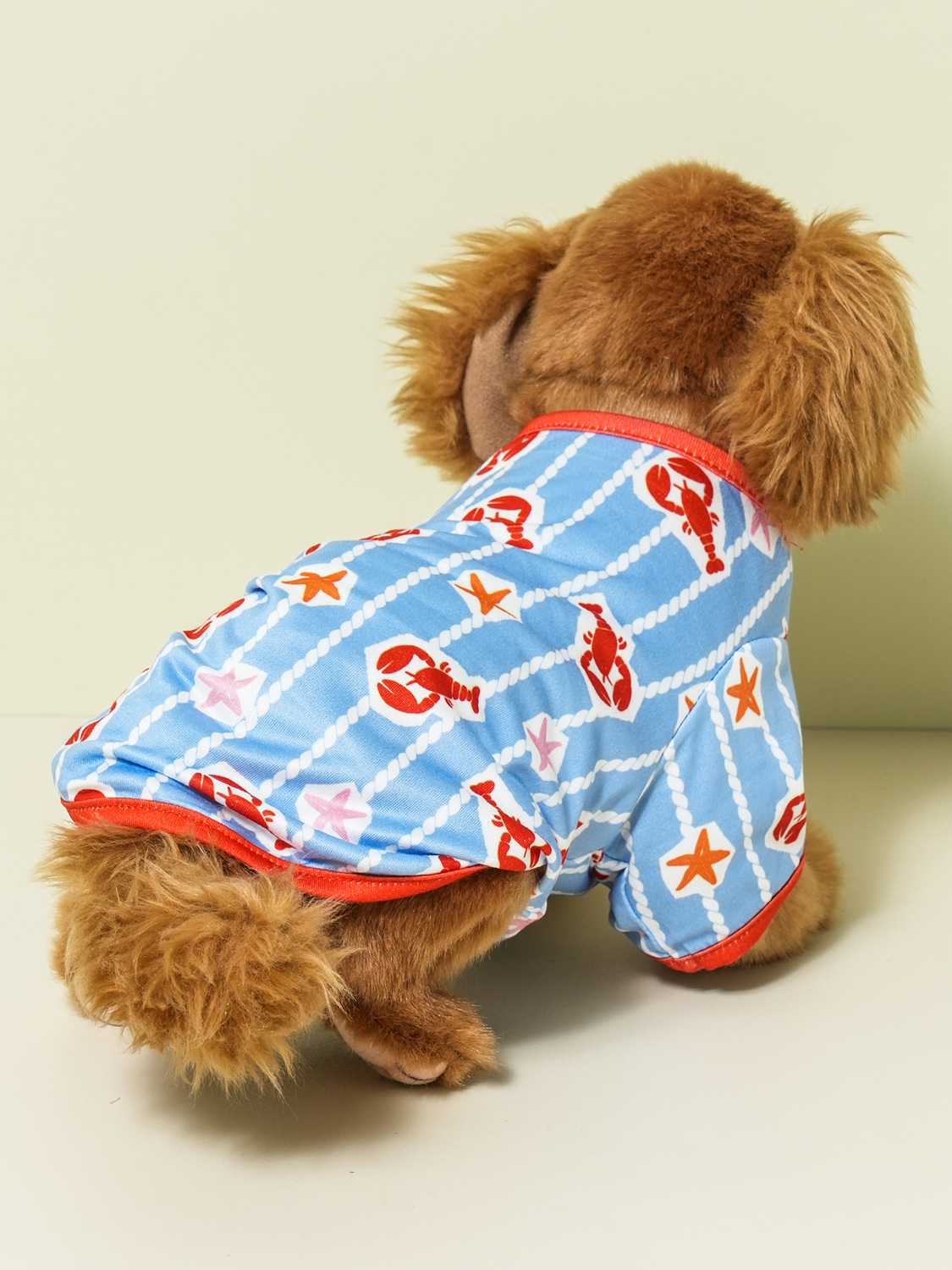 [Pet] Wassummer striped short sleeve L