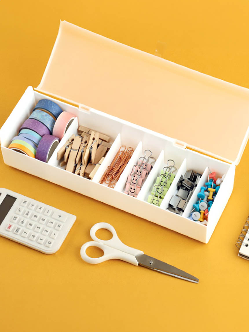 Multi-purpose partition storage case