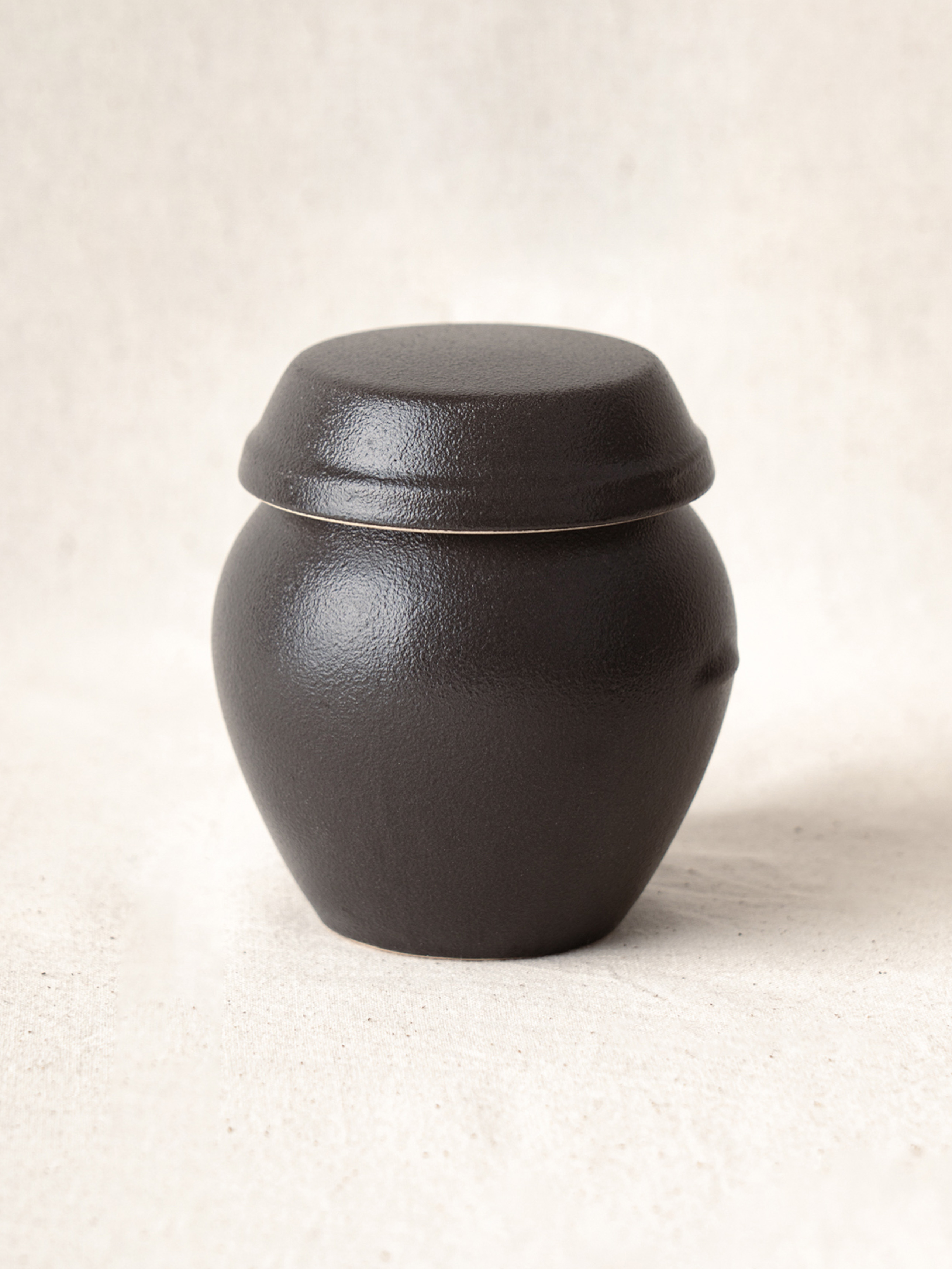 Gaon jar seasoning container (medium)