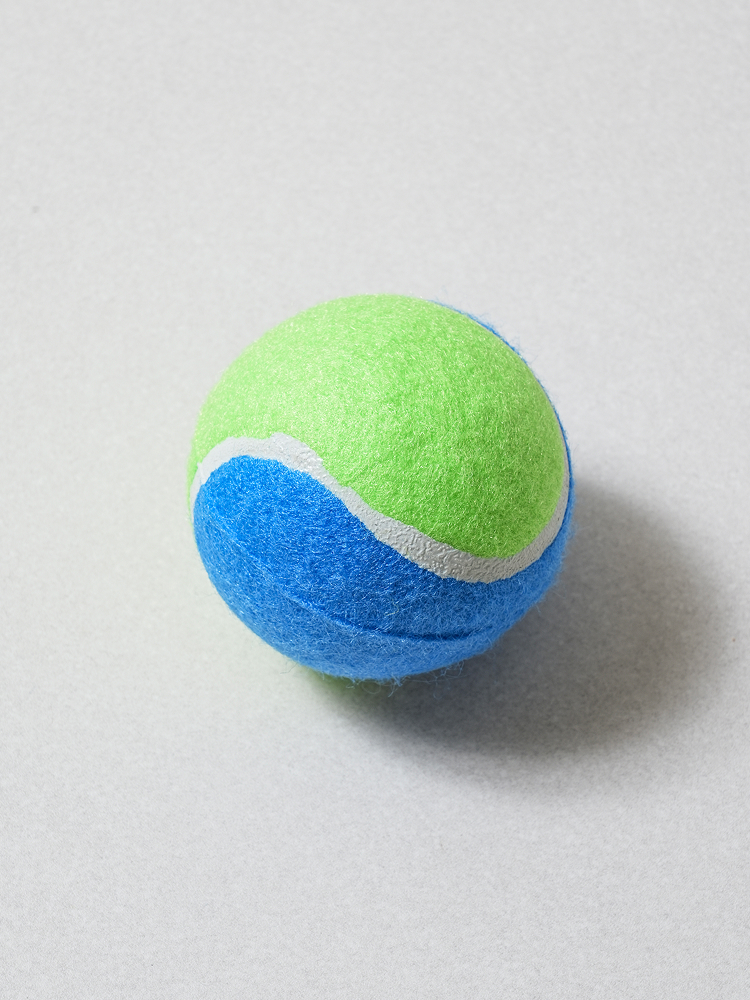 [Pet] Tennis ball play