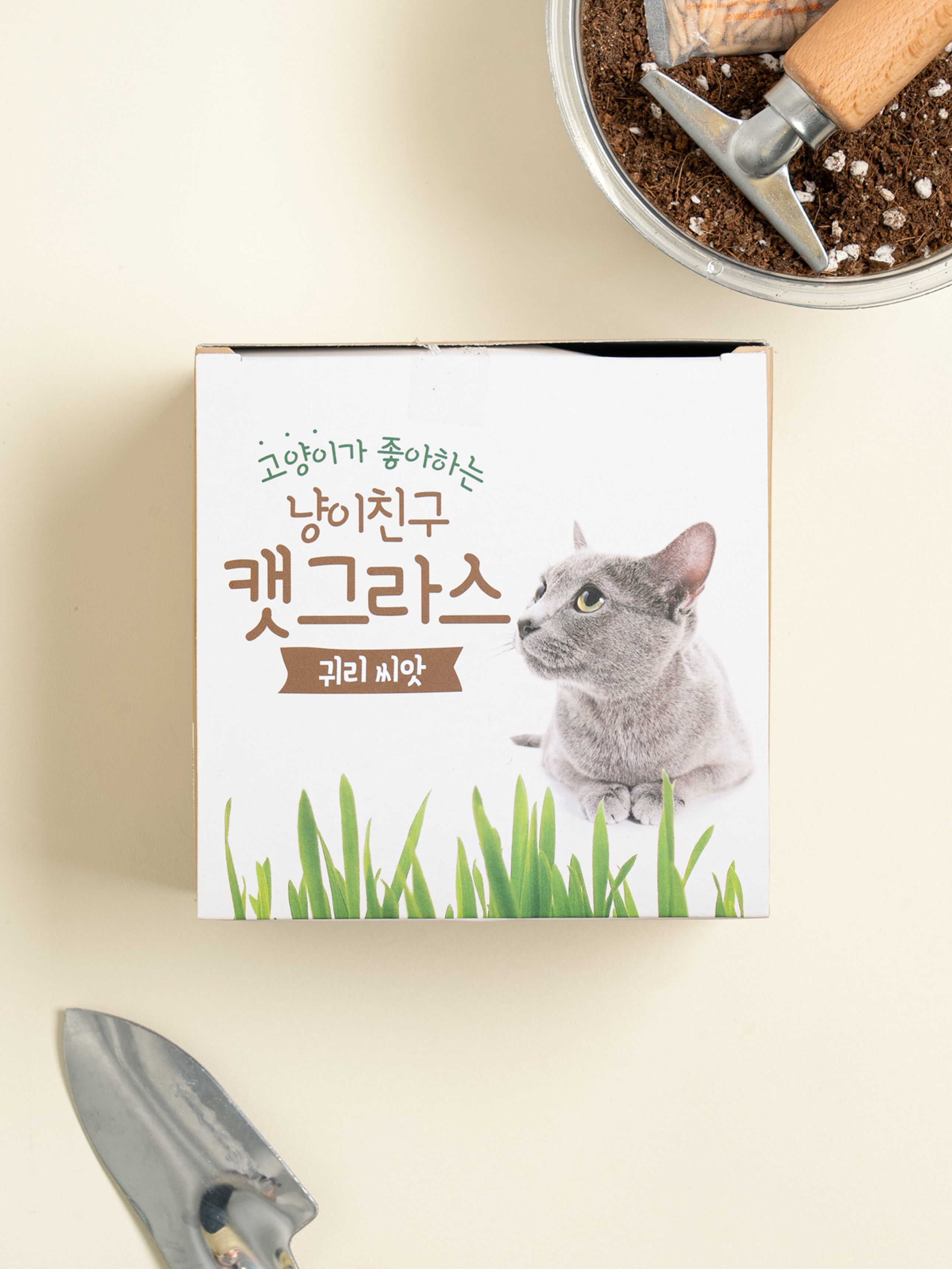 [Pet] COOM Cat Friend Cat Grass Seeds (Oat)