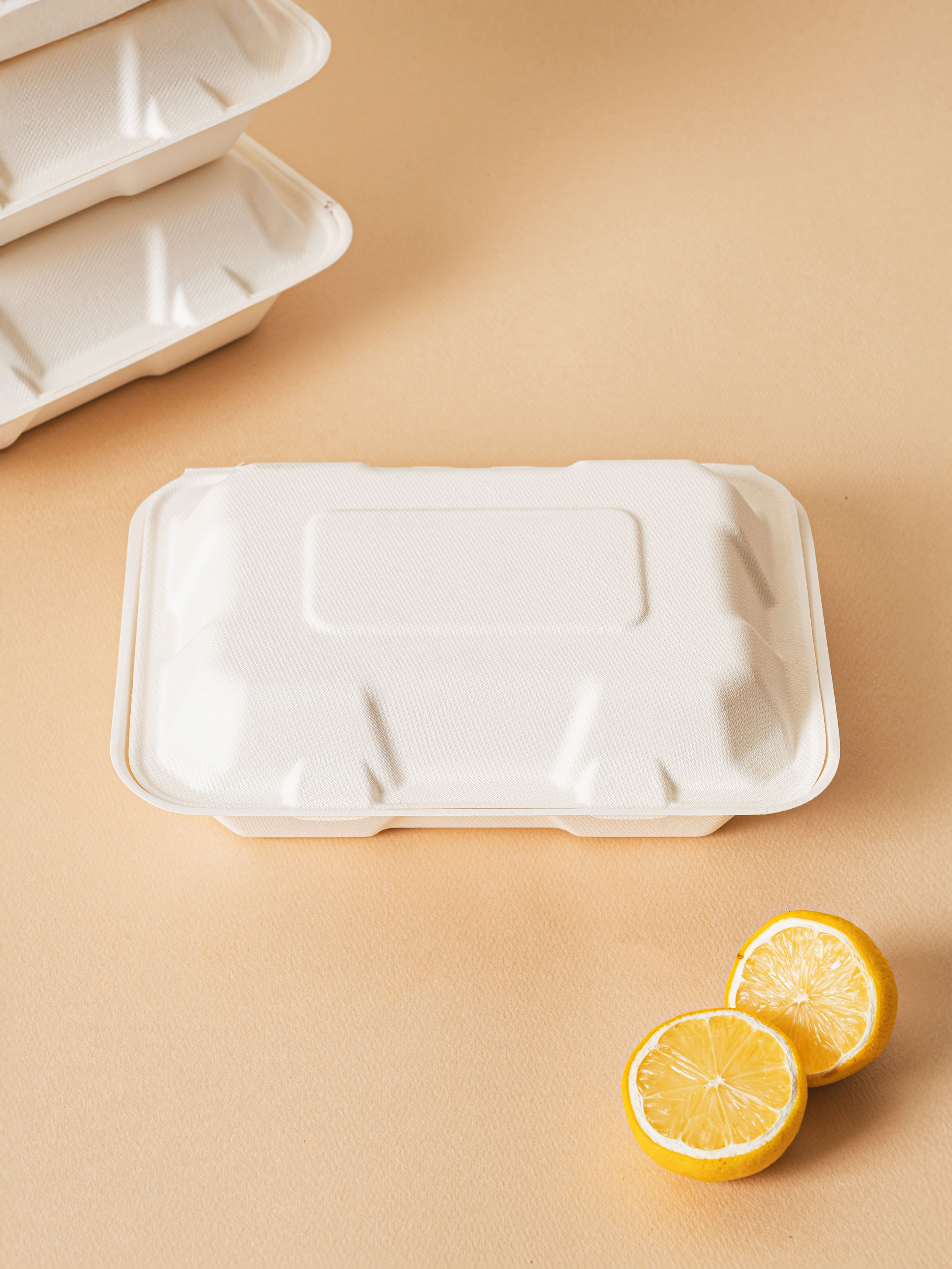 Bamboo & Sugarcane Pulp Lunch Box 22
