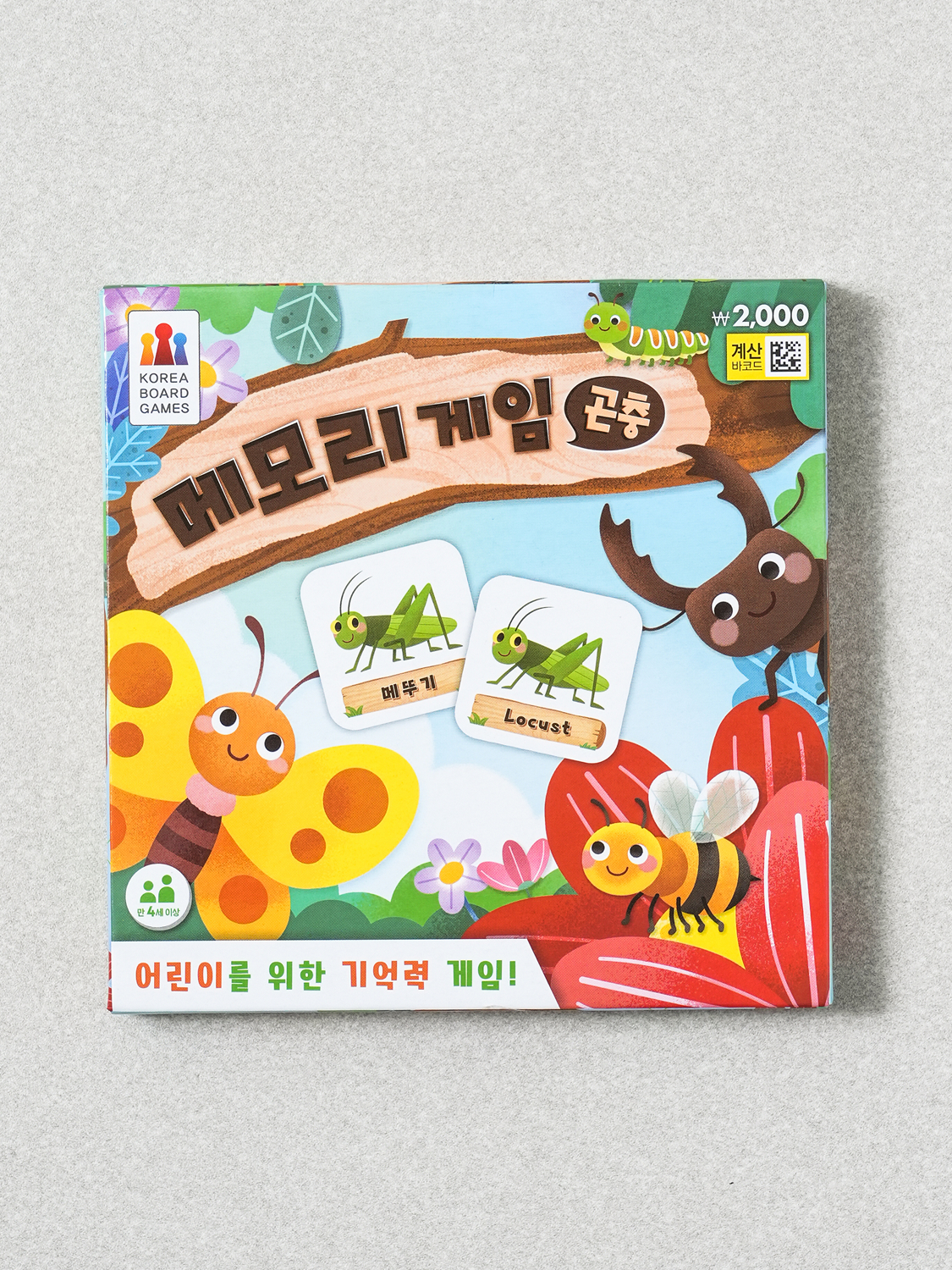 memory games insects