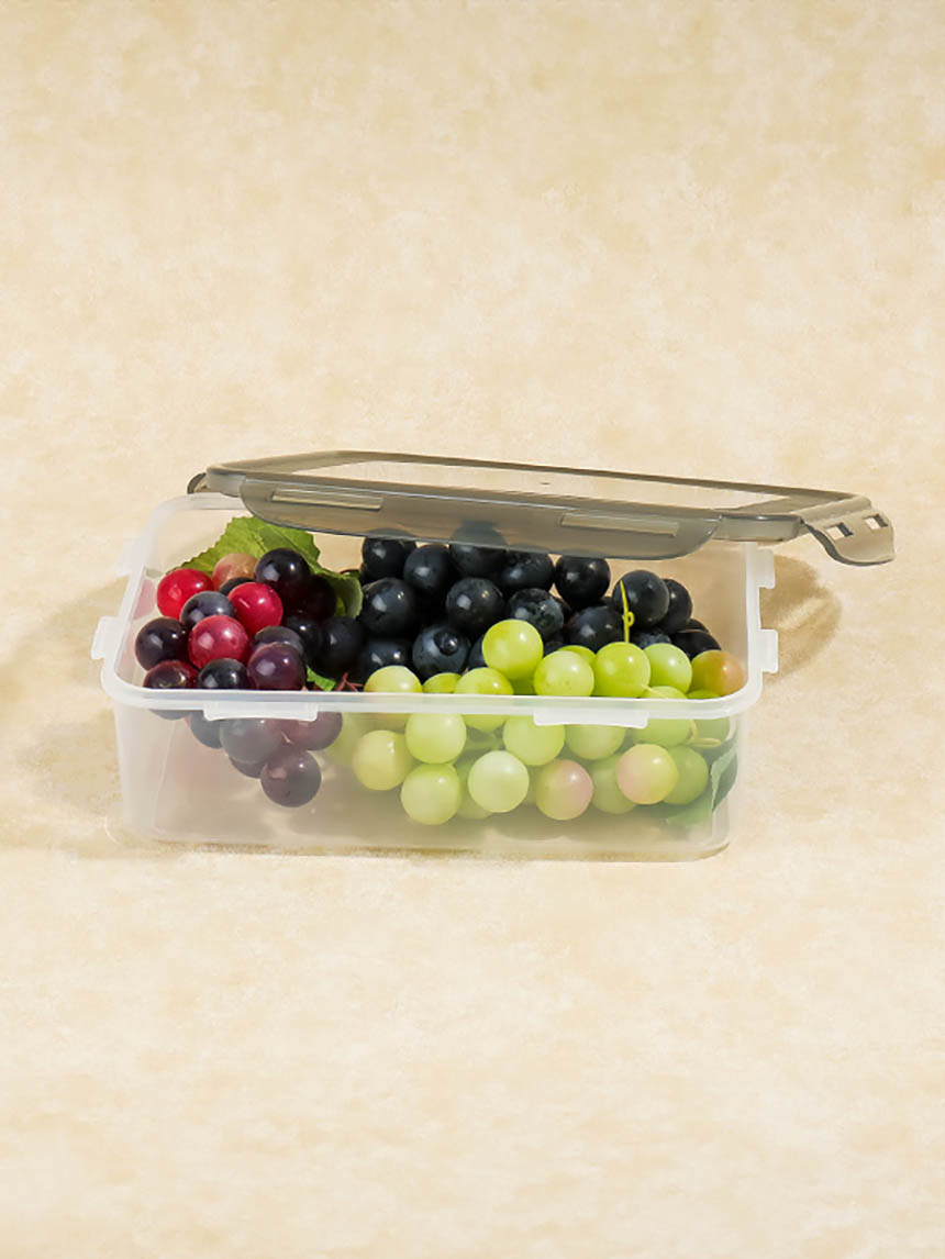 Fresh Rectangular Sealed Container 2.1L