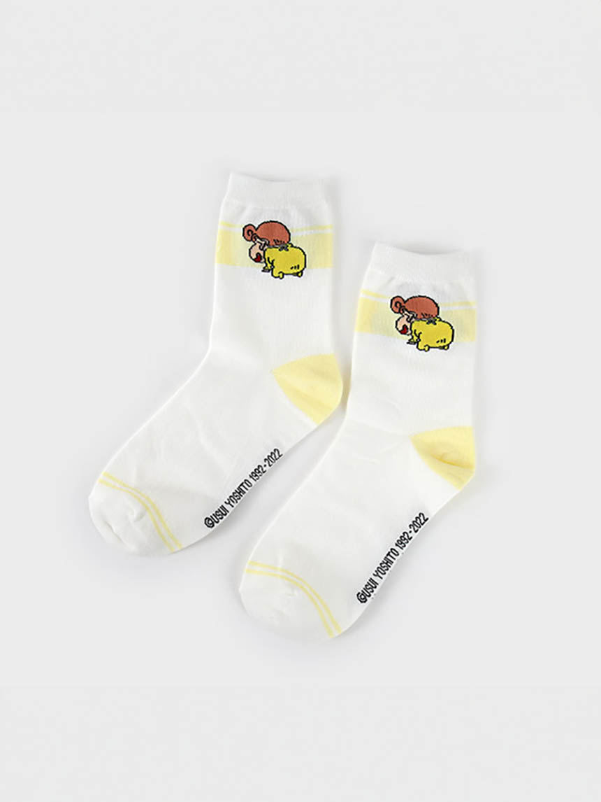 Placard women's long socks