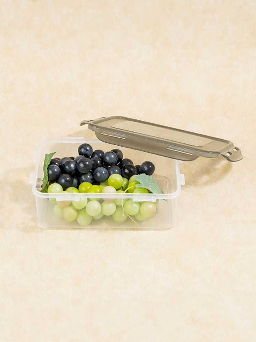 Fresh Rectangular Sealed Container (1.6L)