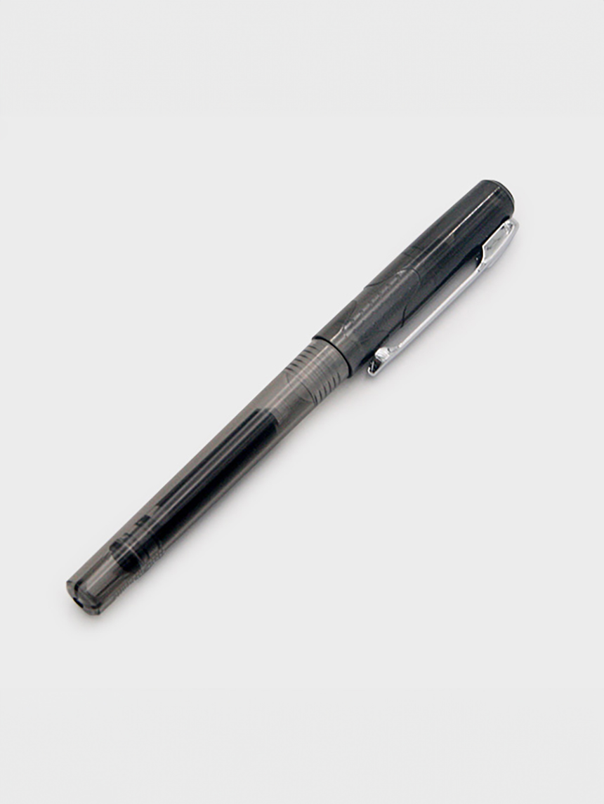 1 fountain pen body and 5 refills