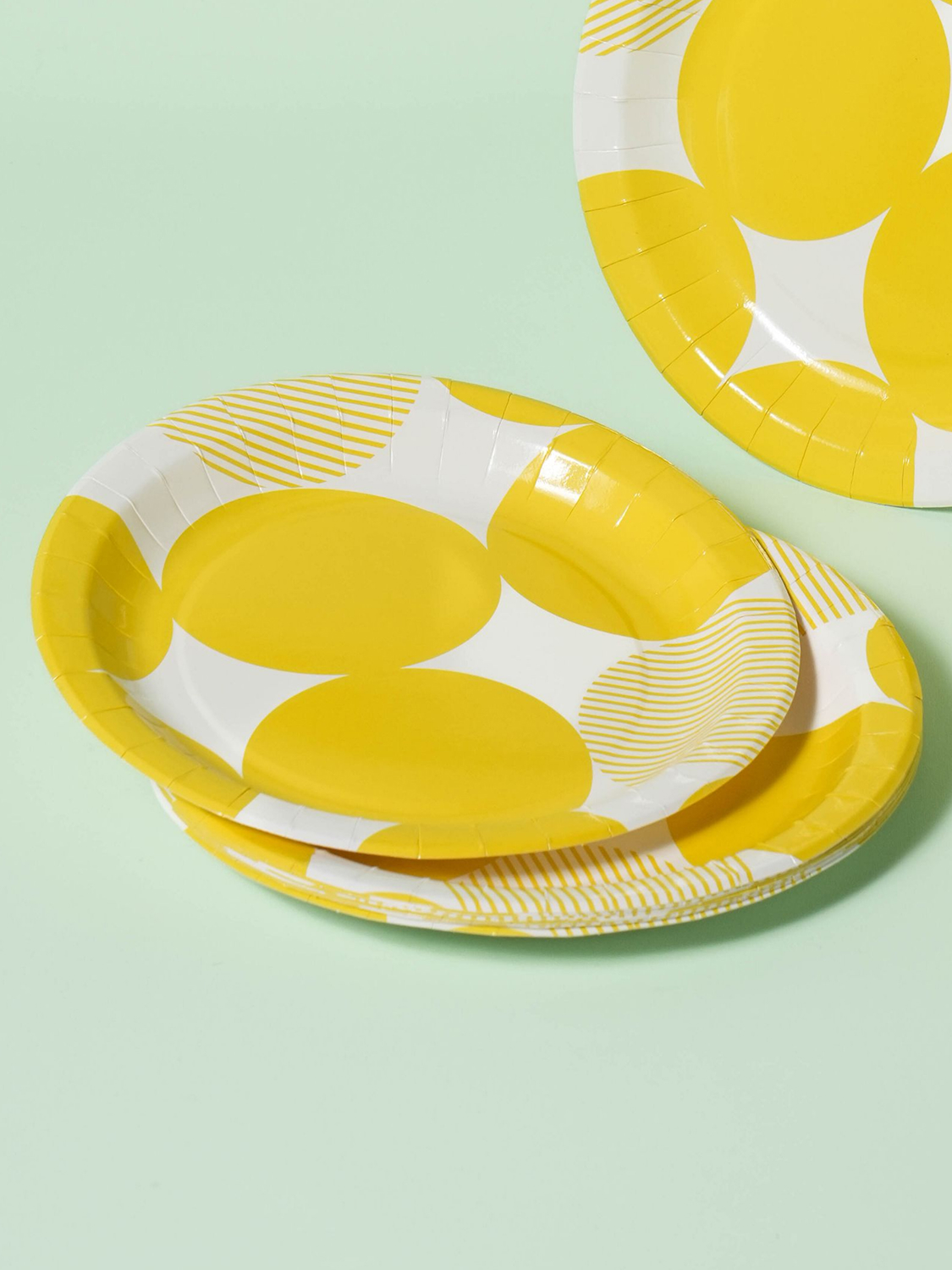Spring picnic design paper plates 20 cm, 10 sheets