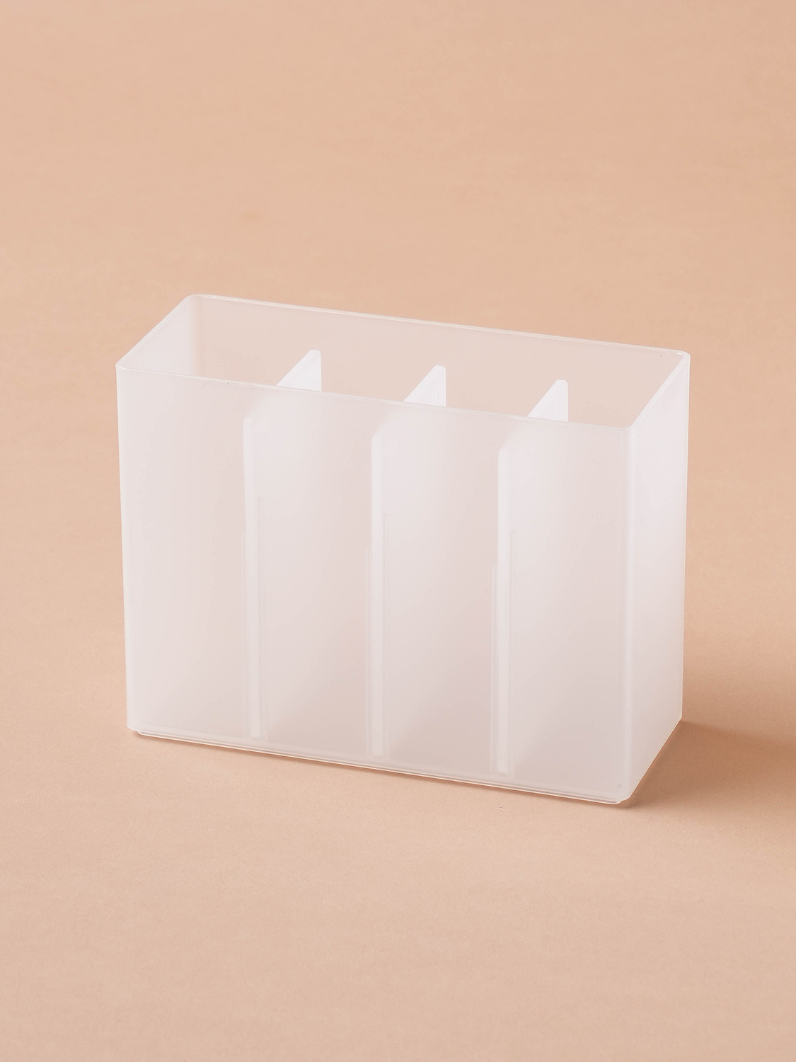 Divided translucent organizer