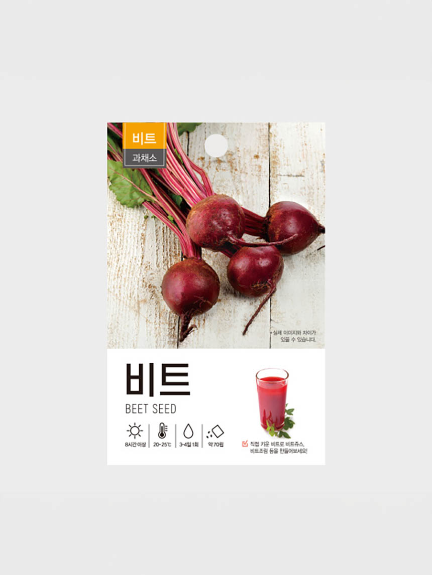 초록스타 비트 씨앗