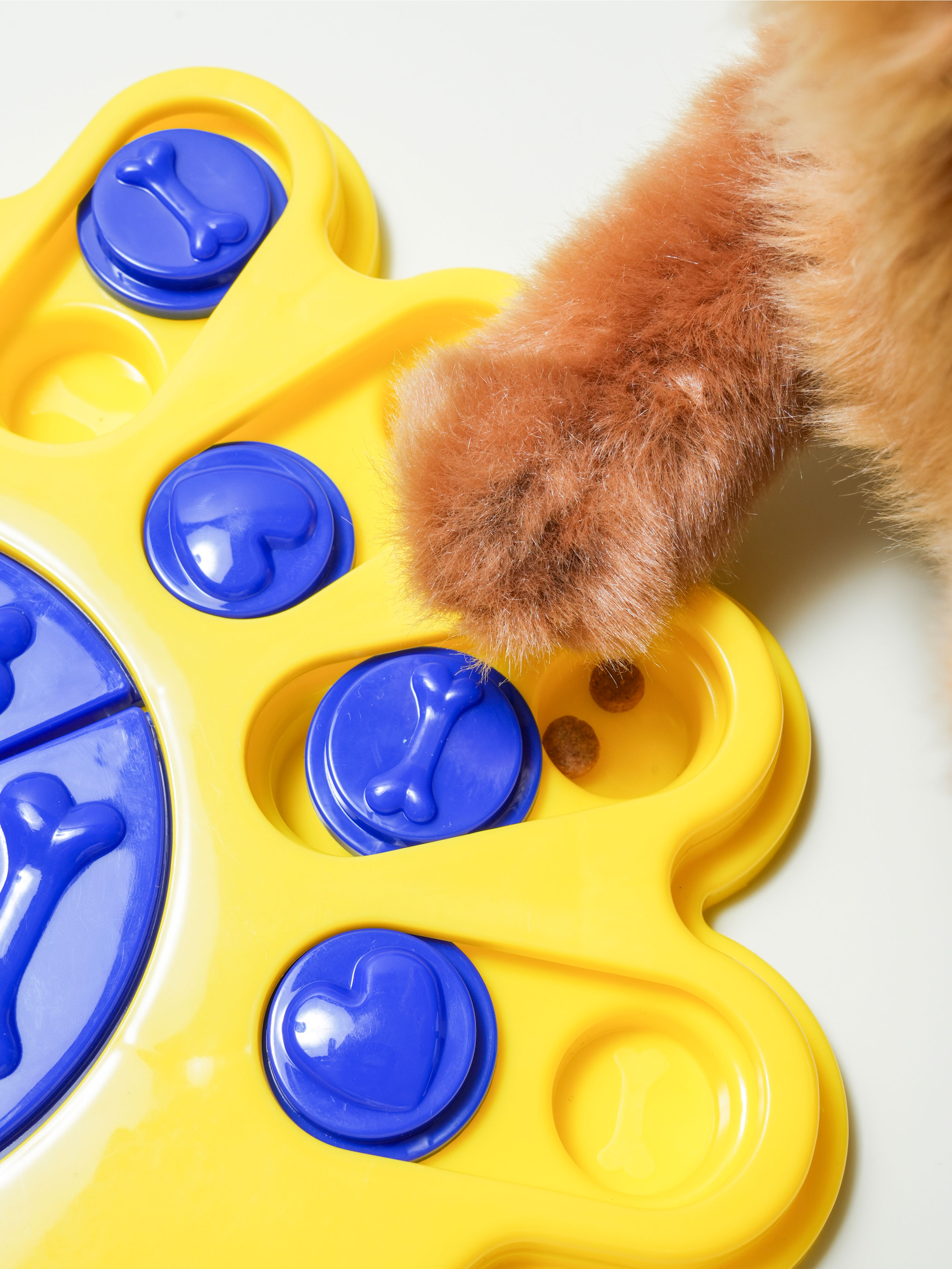 [Pet] Paw-shaped snack puzzle