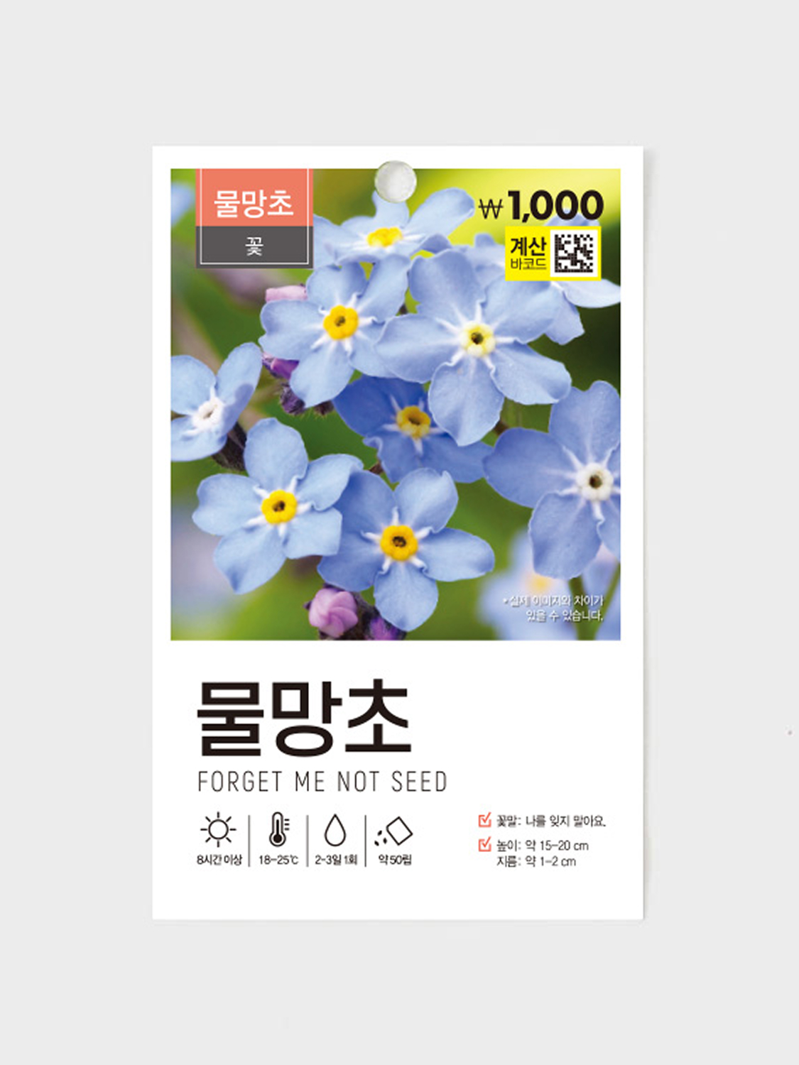Green Star Forget-Me-Not