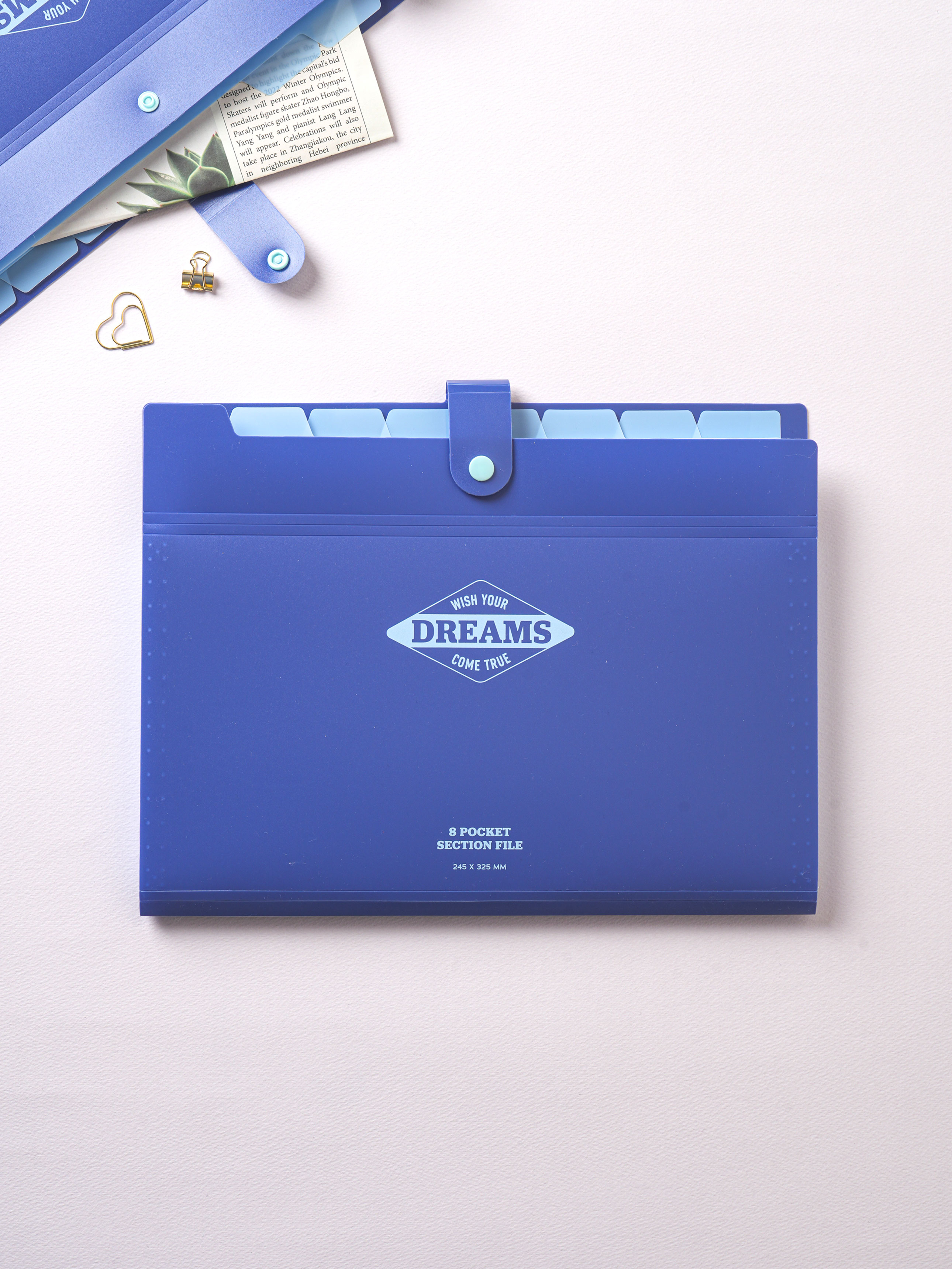 8-pocket section file blue