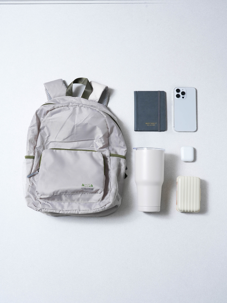 Travel foldable storage backpack