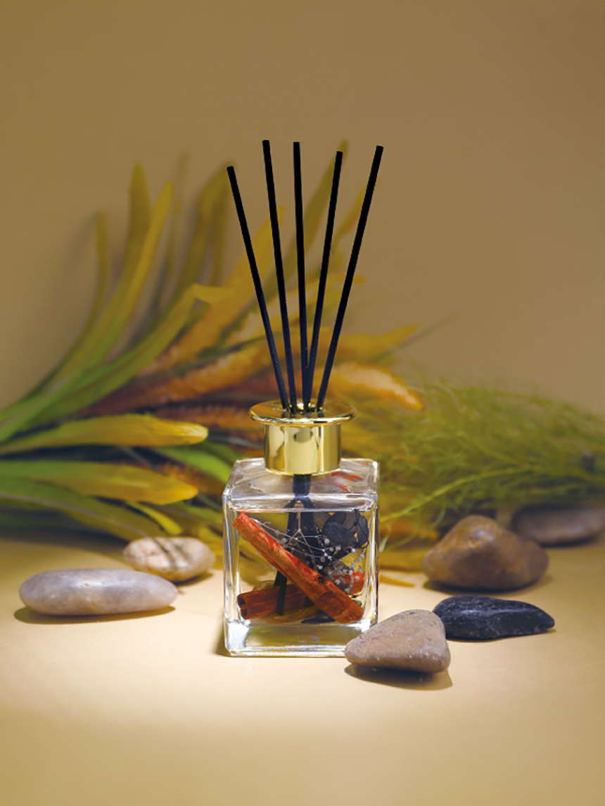 Preserved Diffuser 200ml Wood & Dirt Fragrance