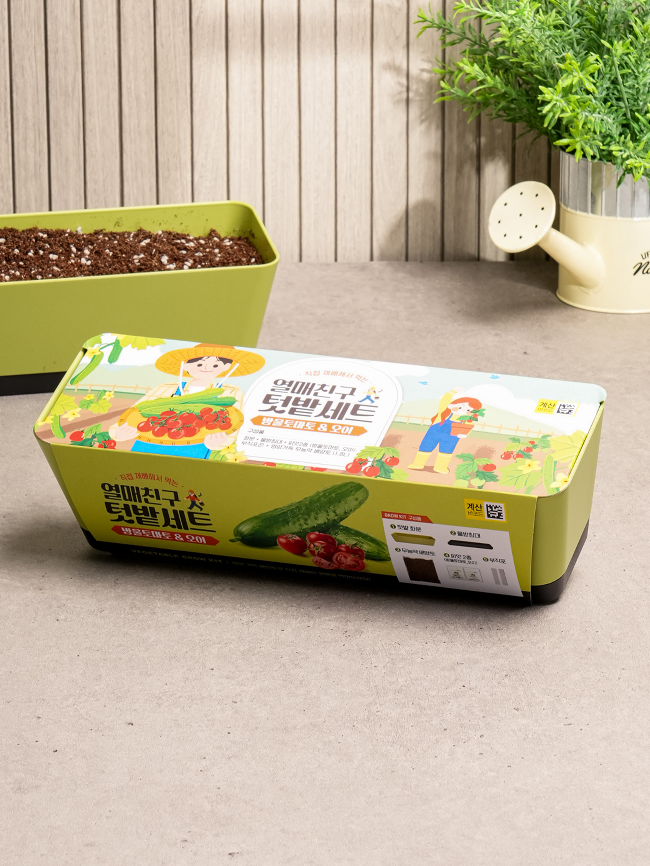 Cherry tomato & cucumber garden set