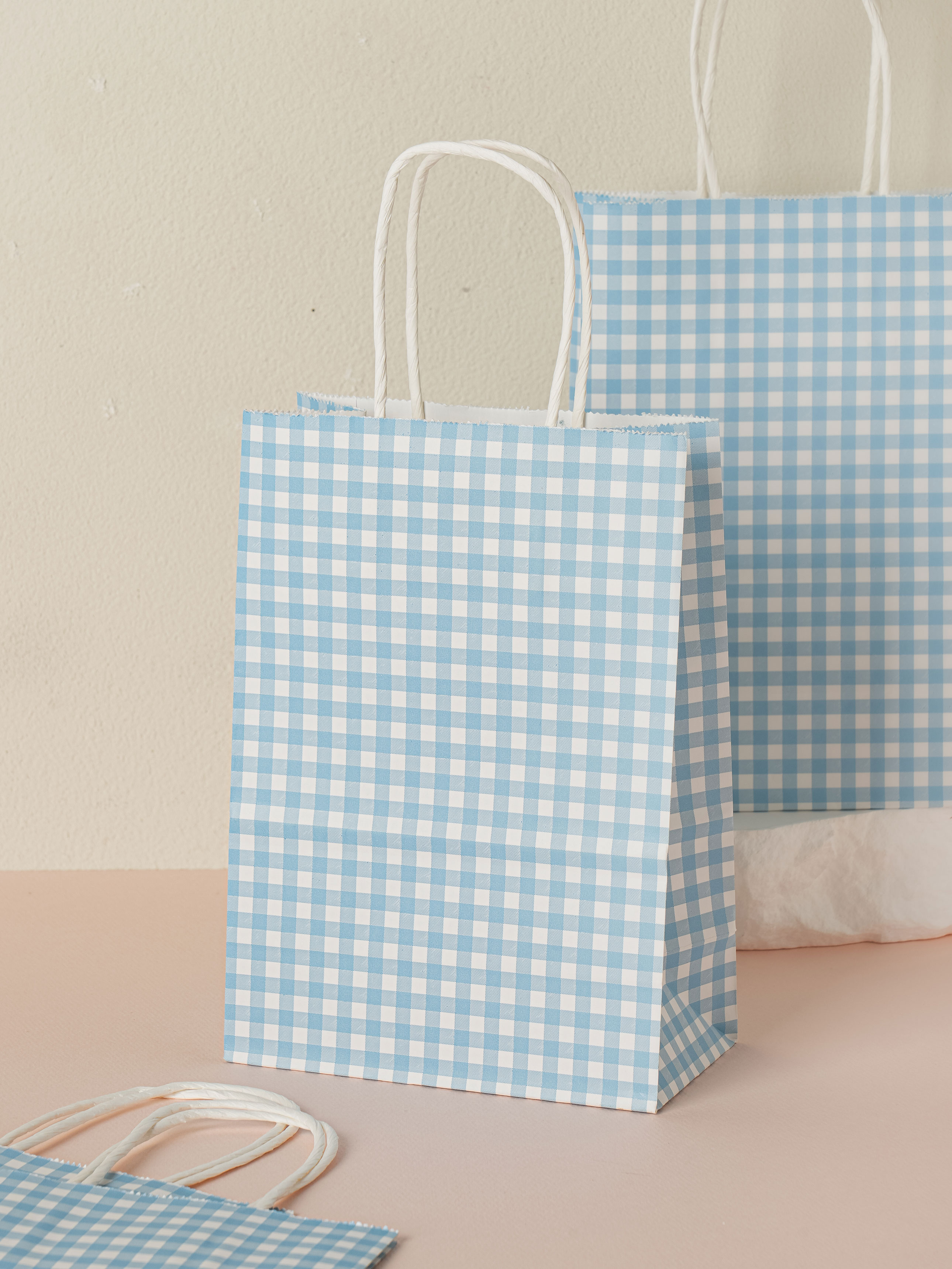 Gingham Check Bundled Gift Bag of 4 Blue