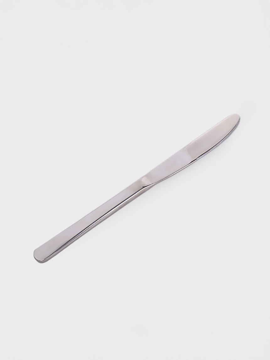 All Stainless Steel Flatware Knife 21cm