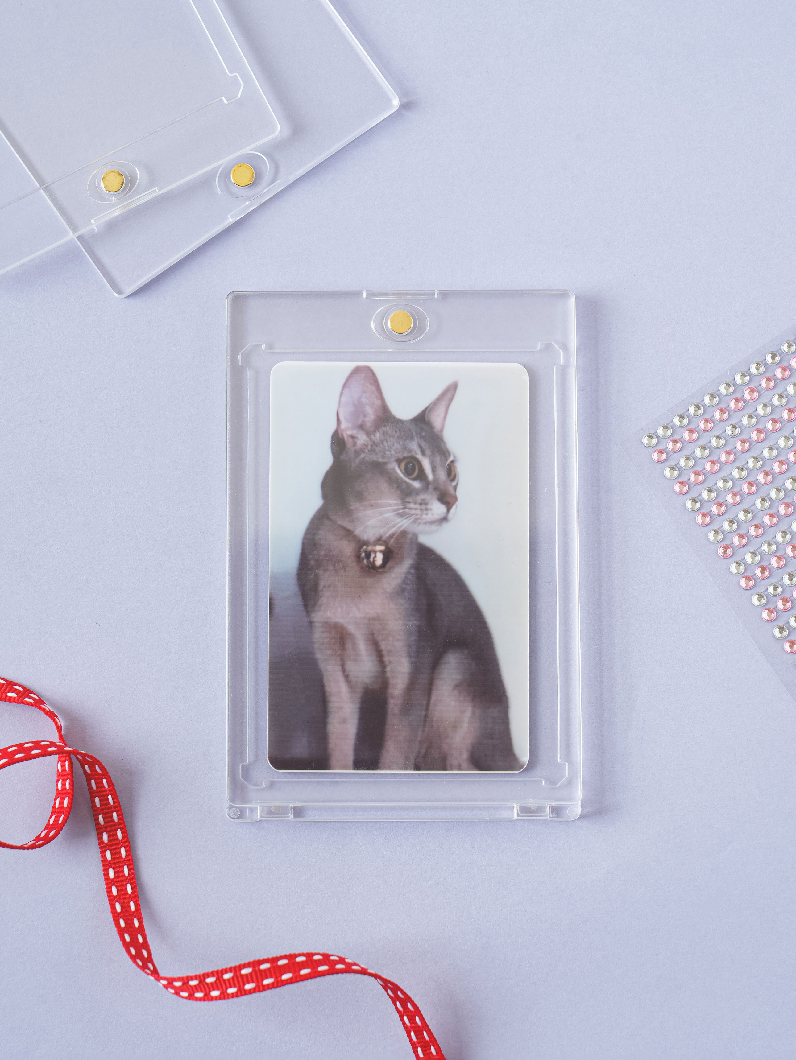 Polkku Magnet Case Toploader