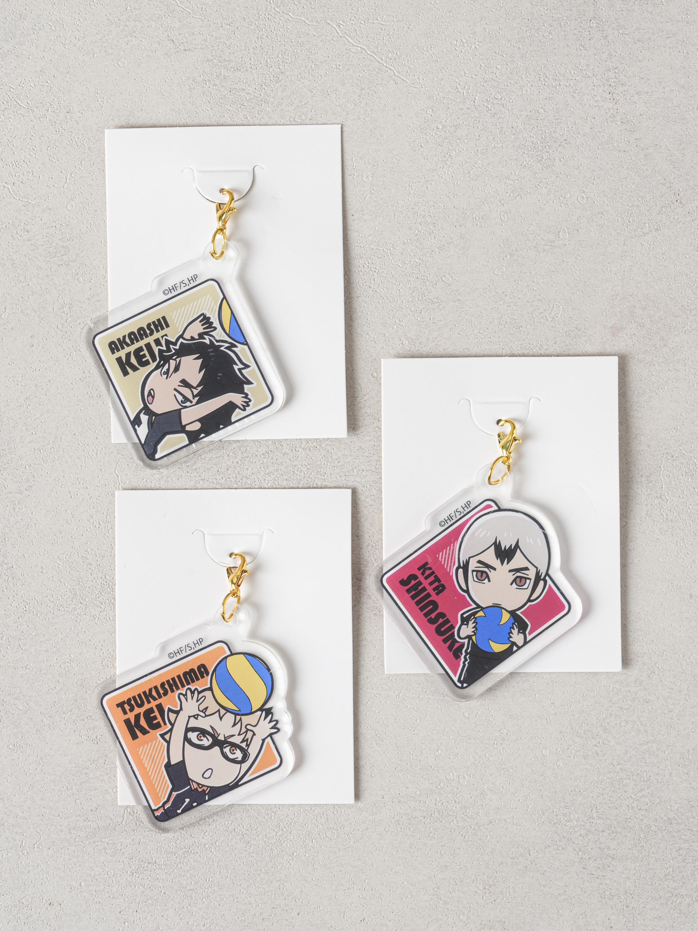 Haikyu!! 1 random acrylic charm