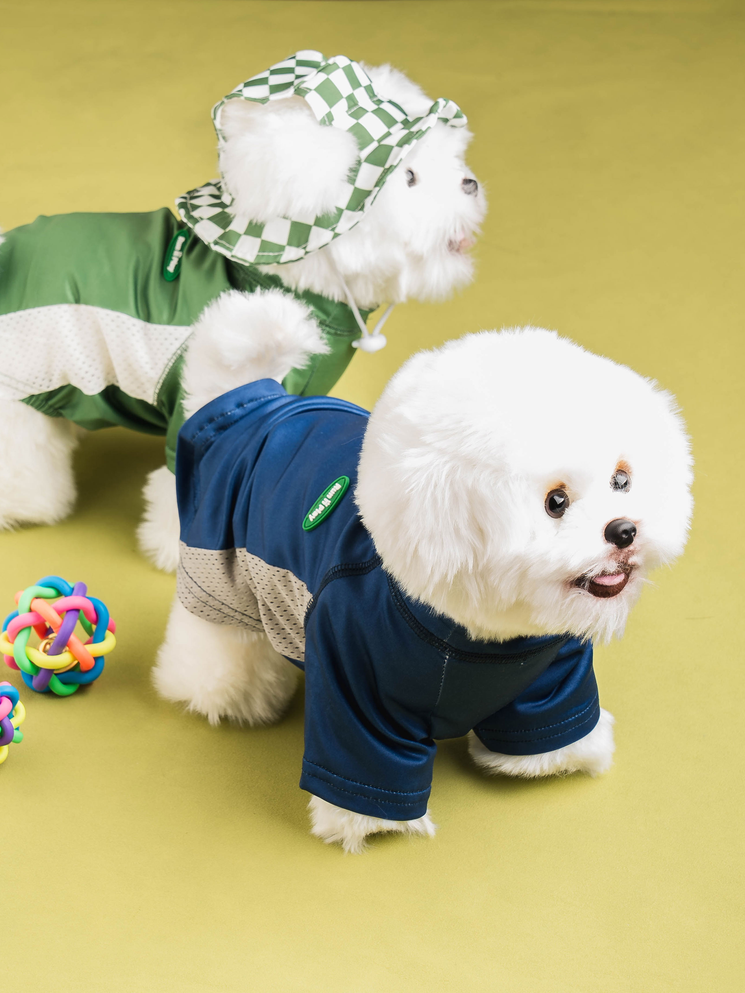 [Pet] Camping T-shirt M