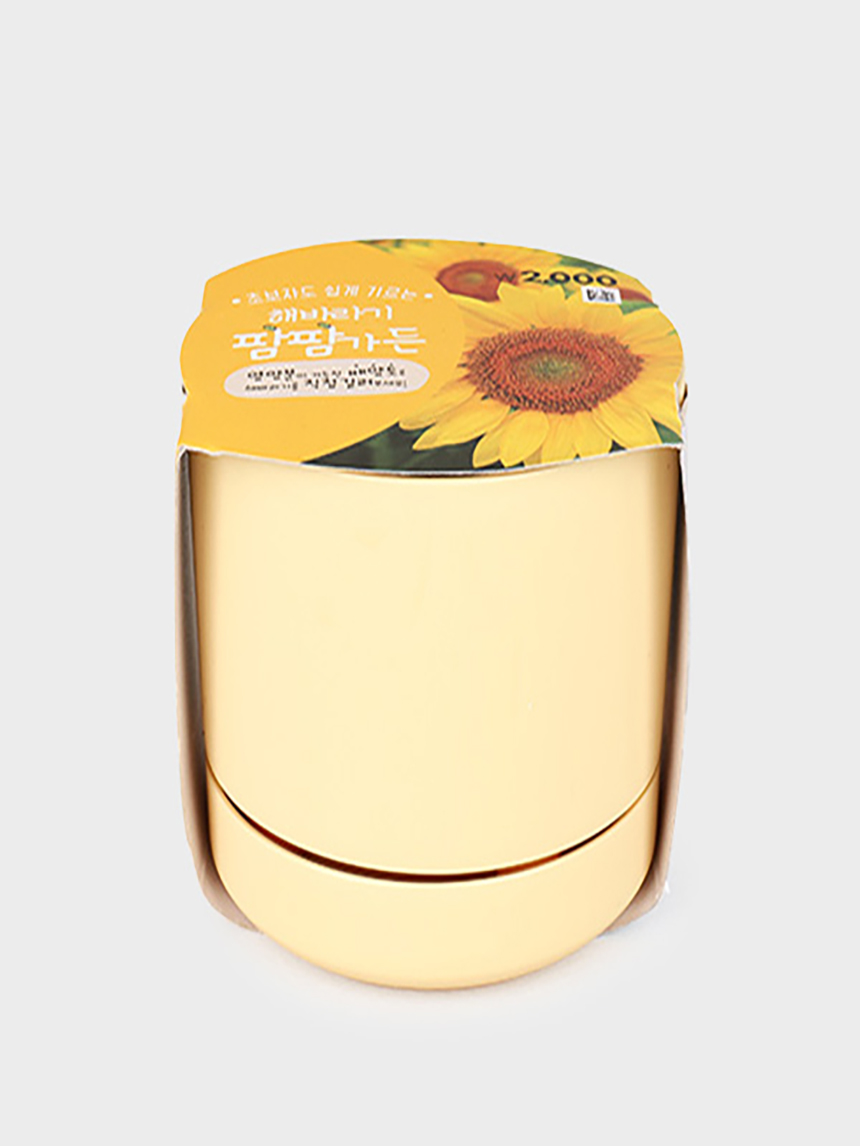 COOM Palm Farm Garden (Sunflowers)