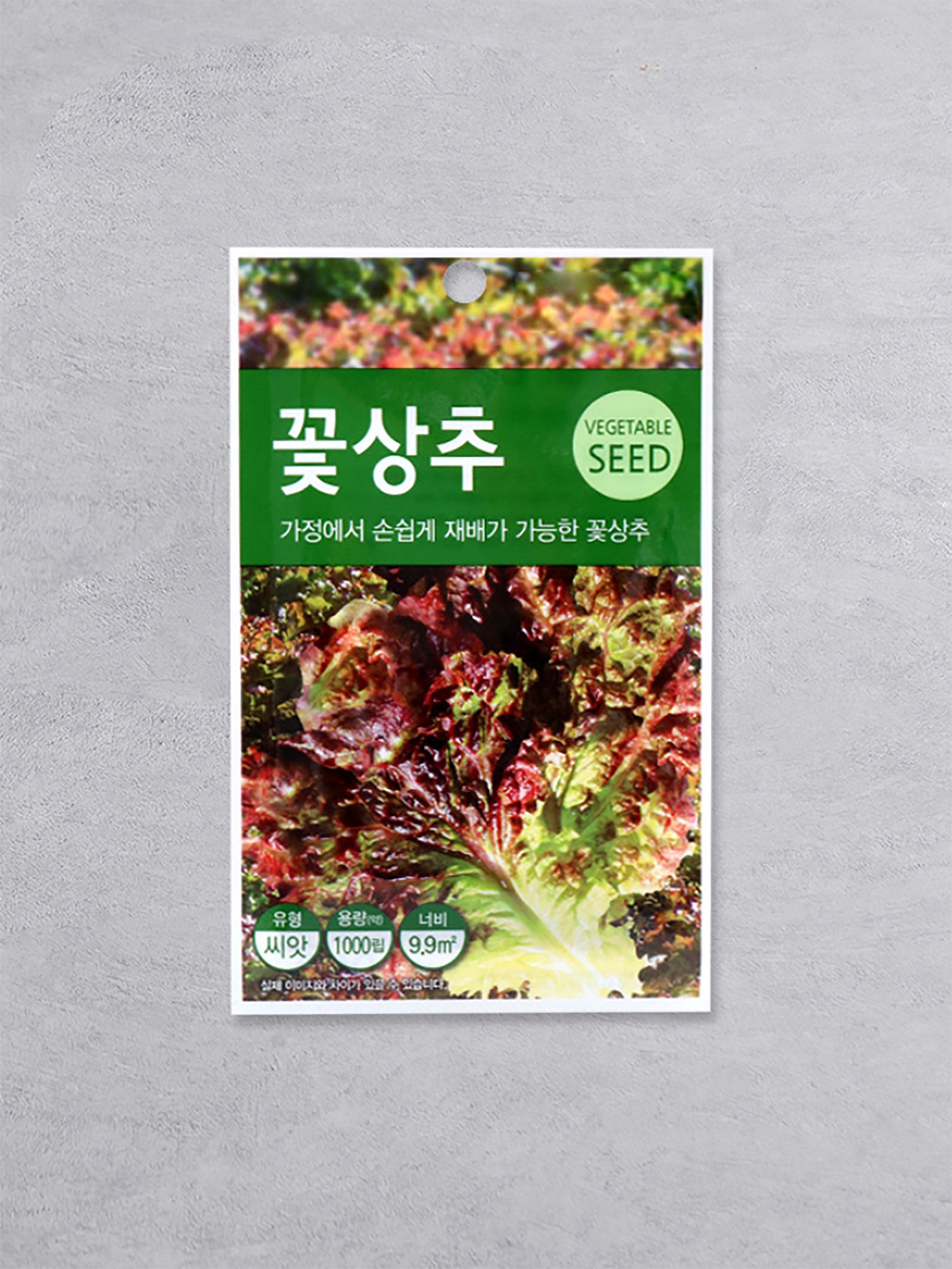 Green Star Endive Seeds