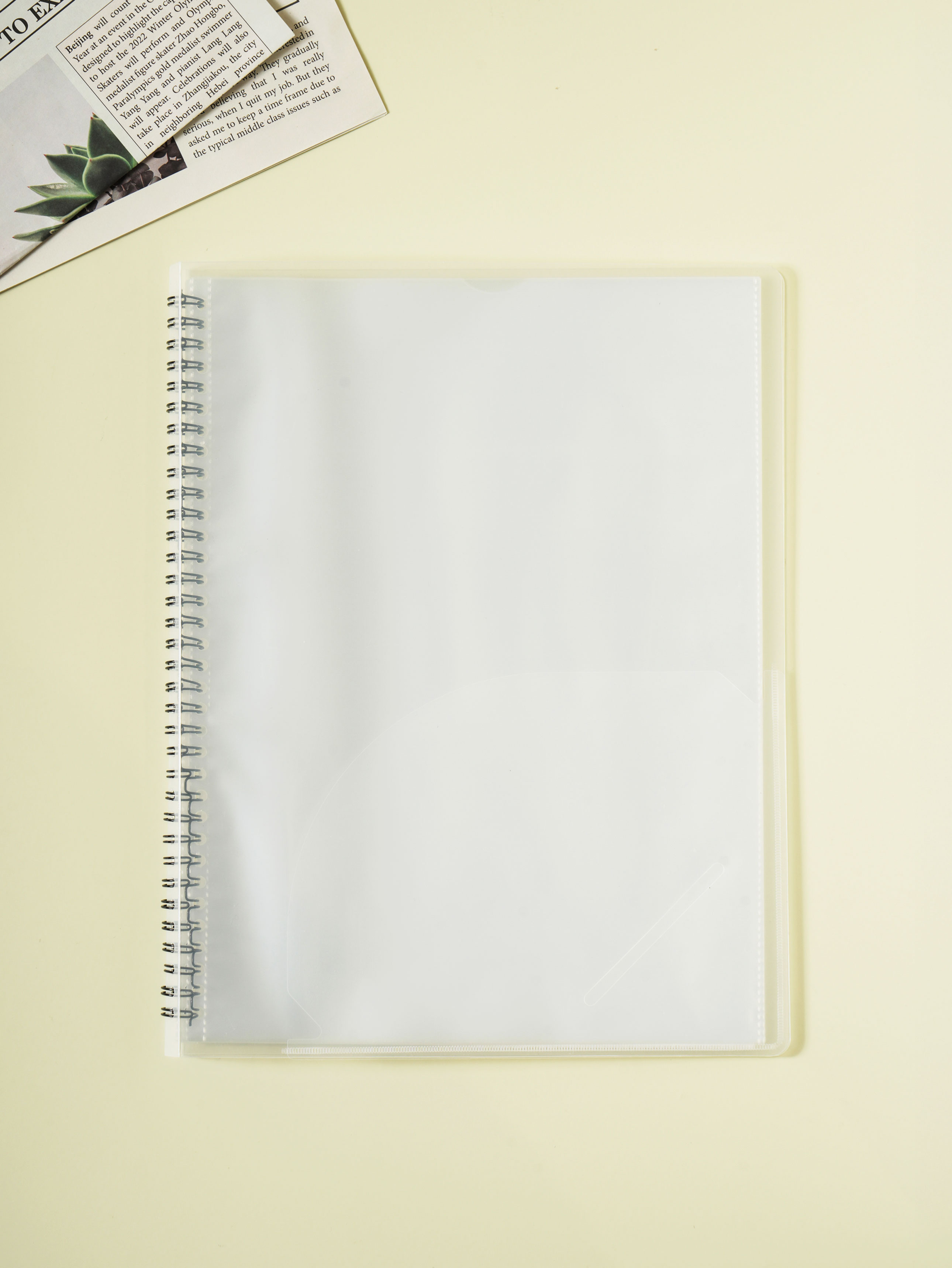 Spring Clear File 30 sheets clear