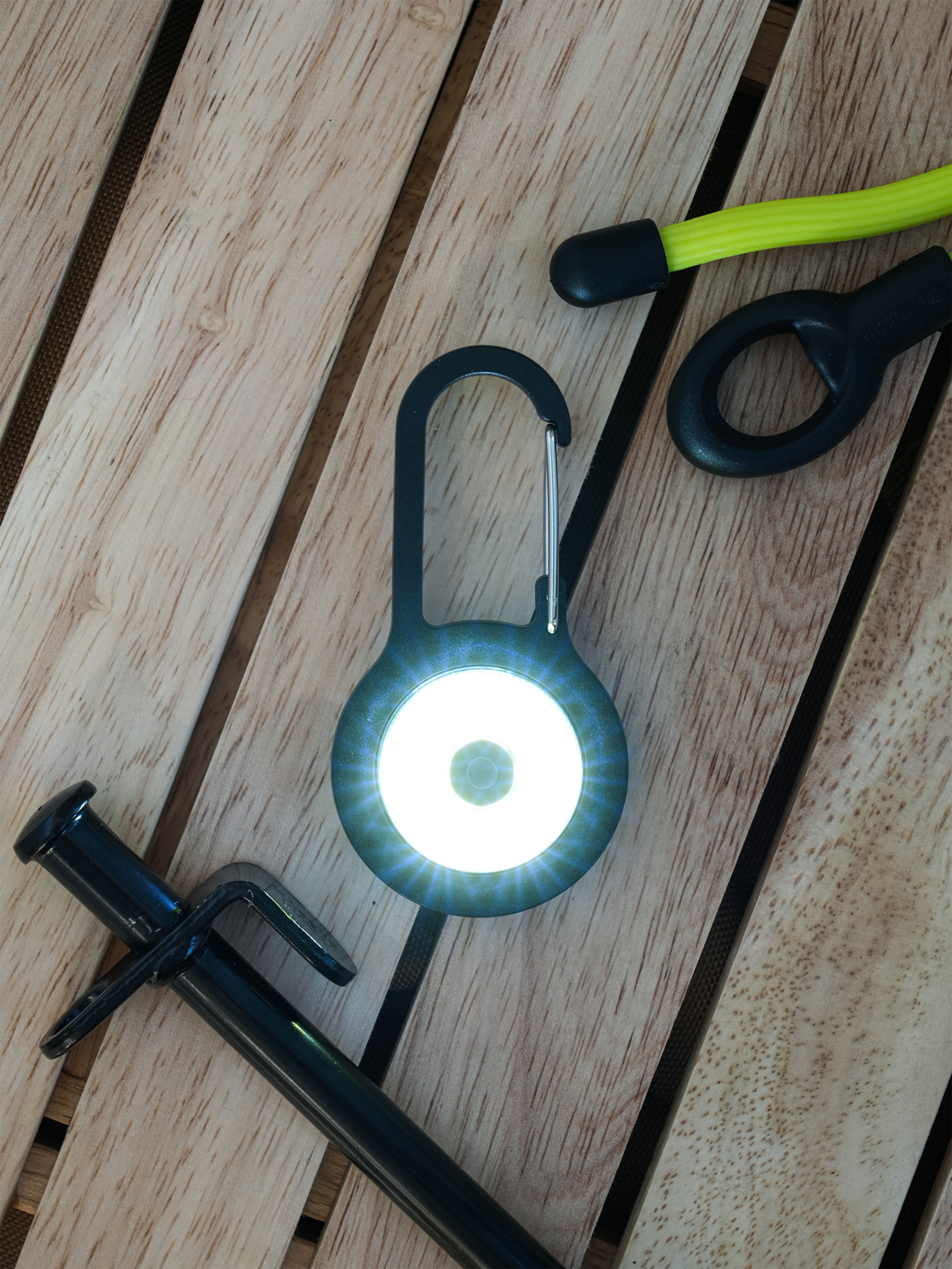 Carabiner type LED lighting