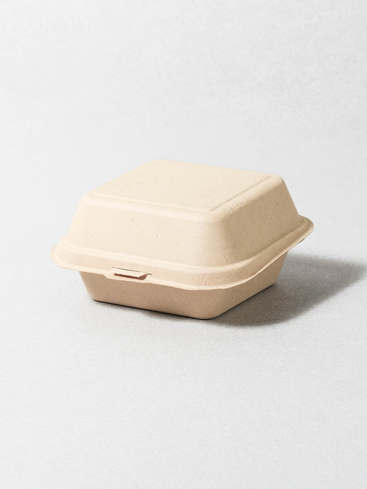 Bamboo pulp lunch box (5 pieces)