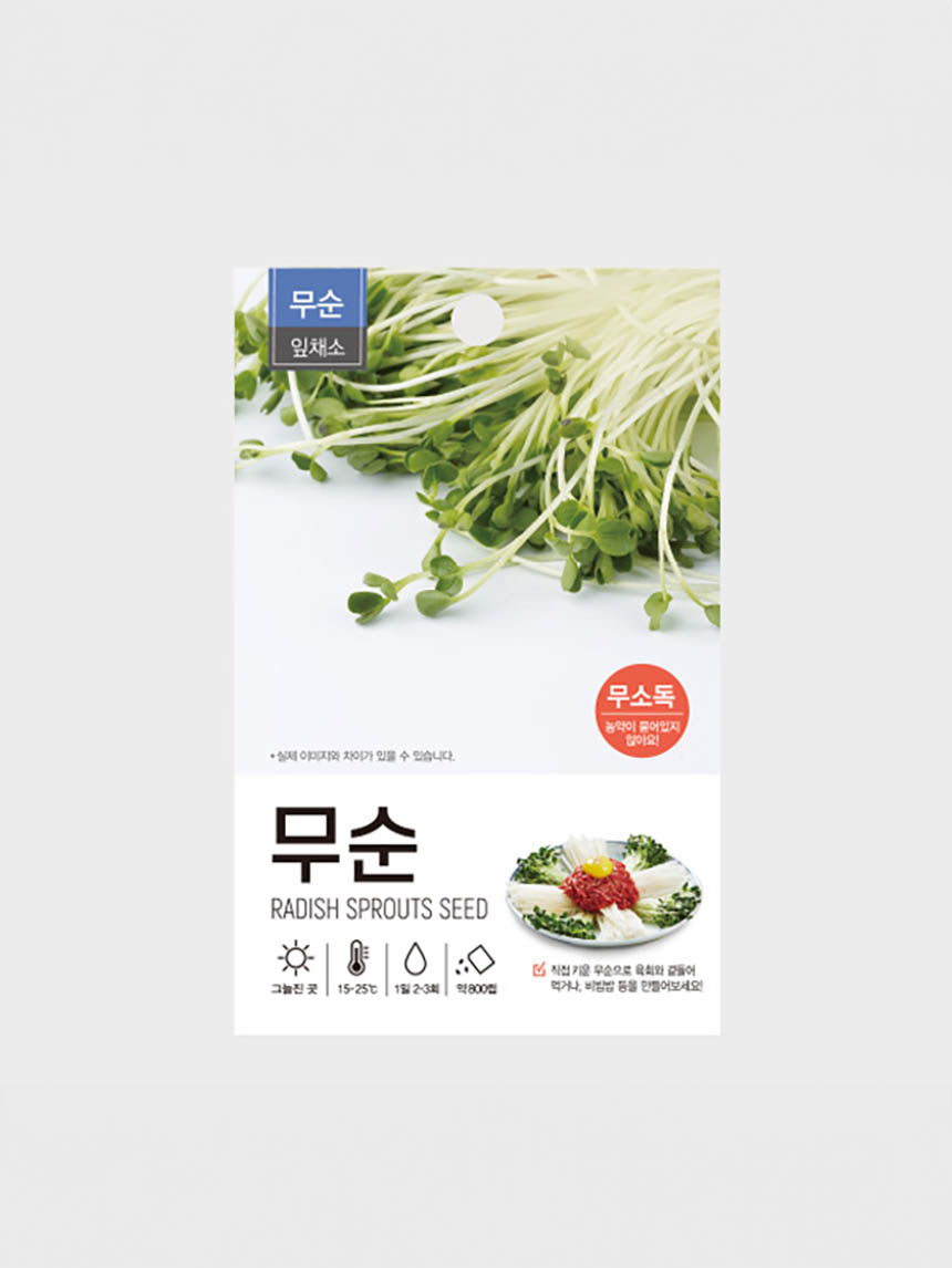 sprout vegetable radish sprout