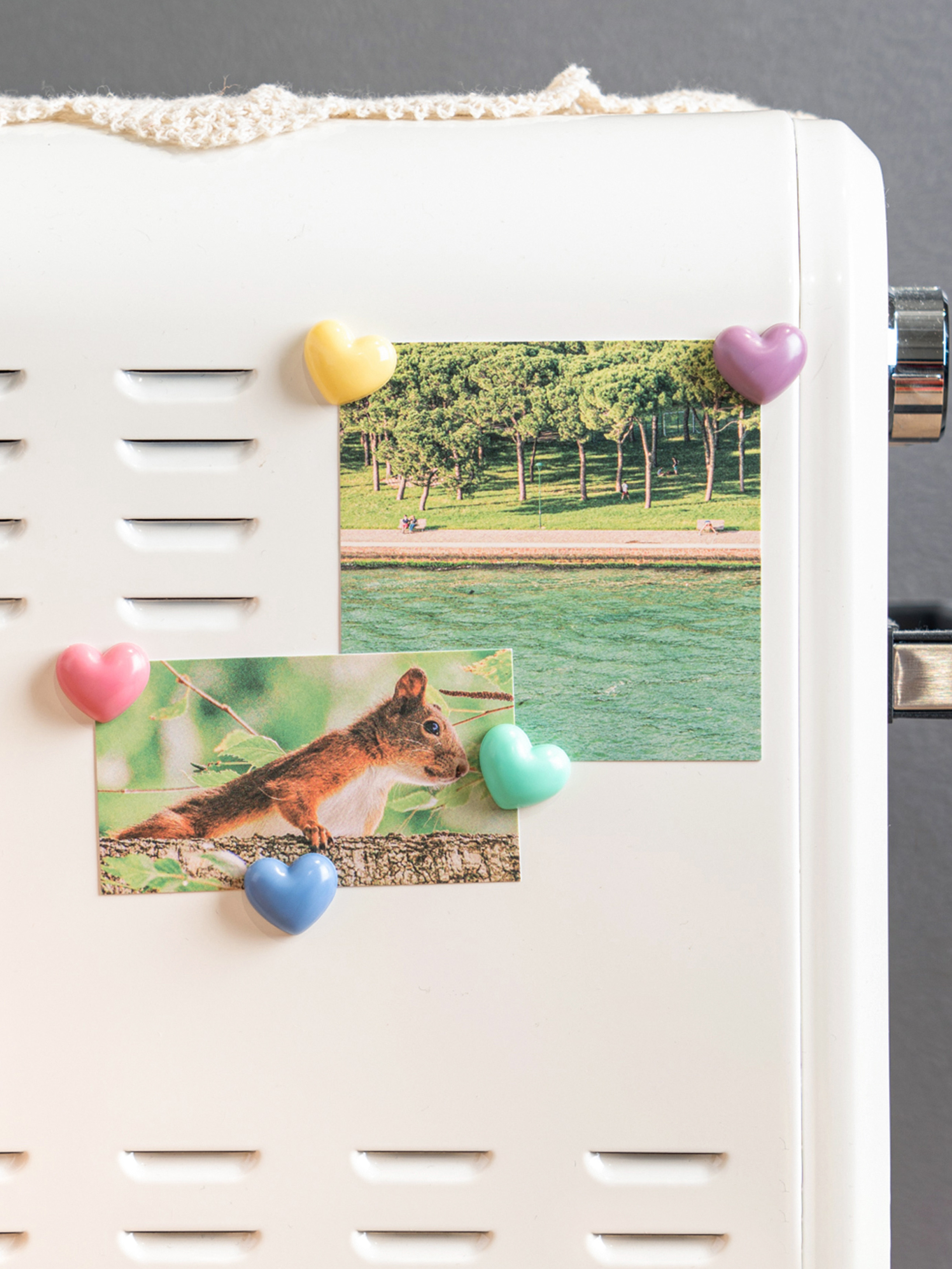 5 heart-shaped magnets