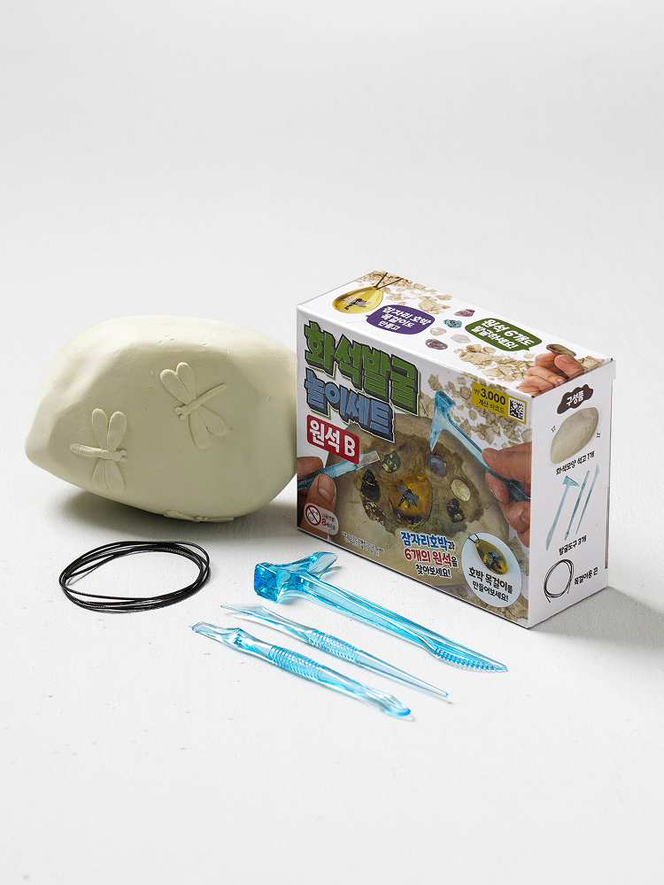 fossil excavation play set dragonfly pumpkin