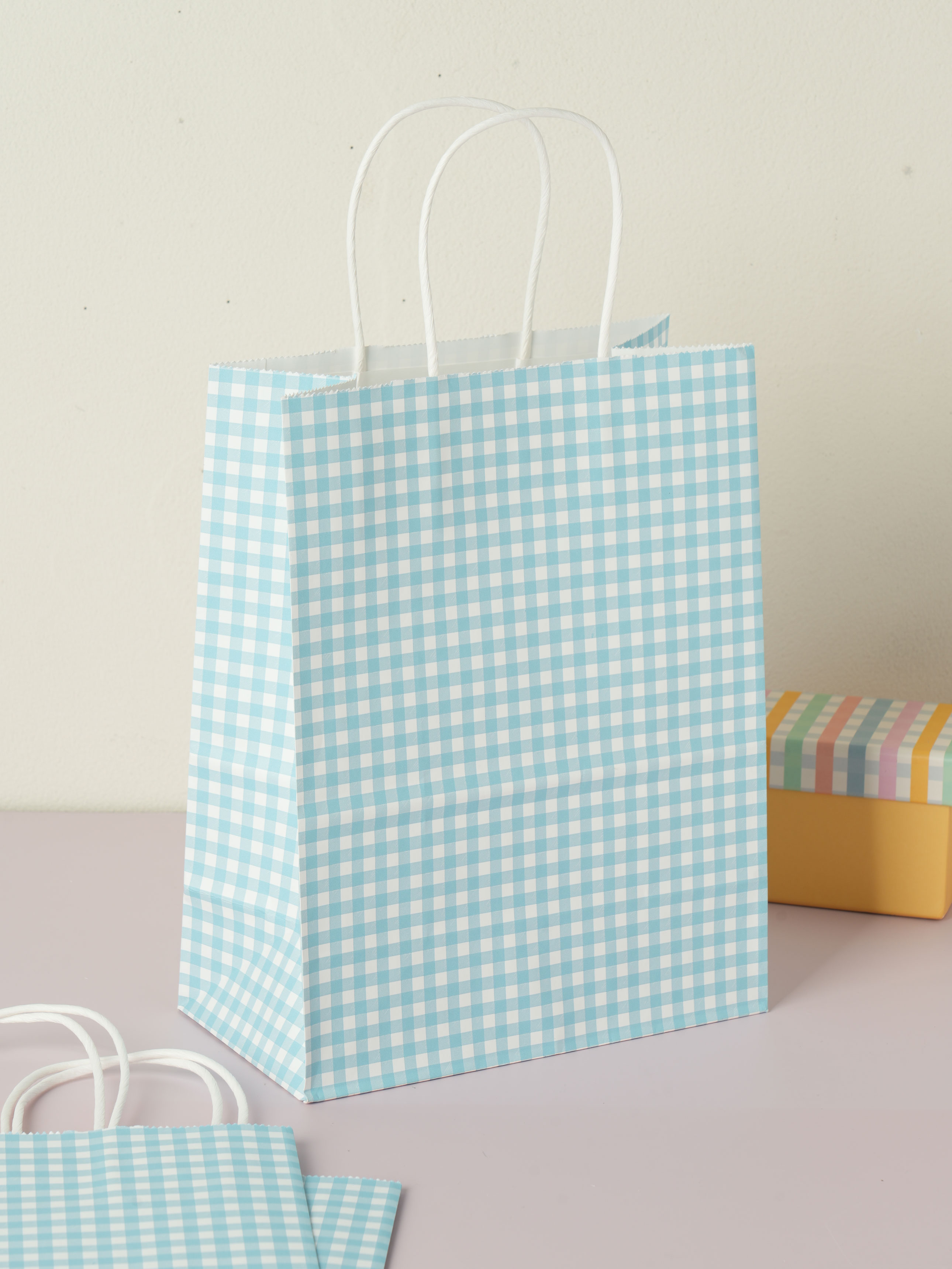 Gingham Check Bundled Gift Bag (Large) 3P_Blue