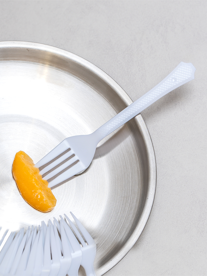 10 sanitary forks