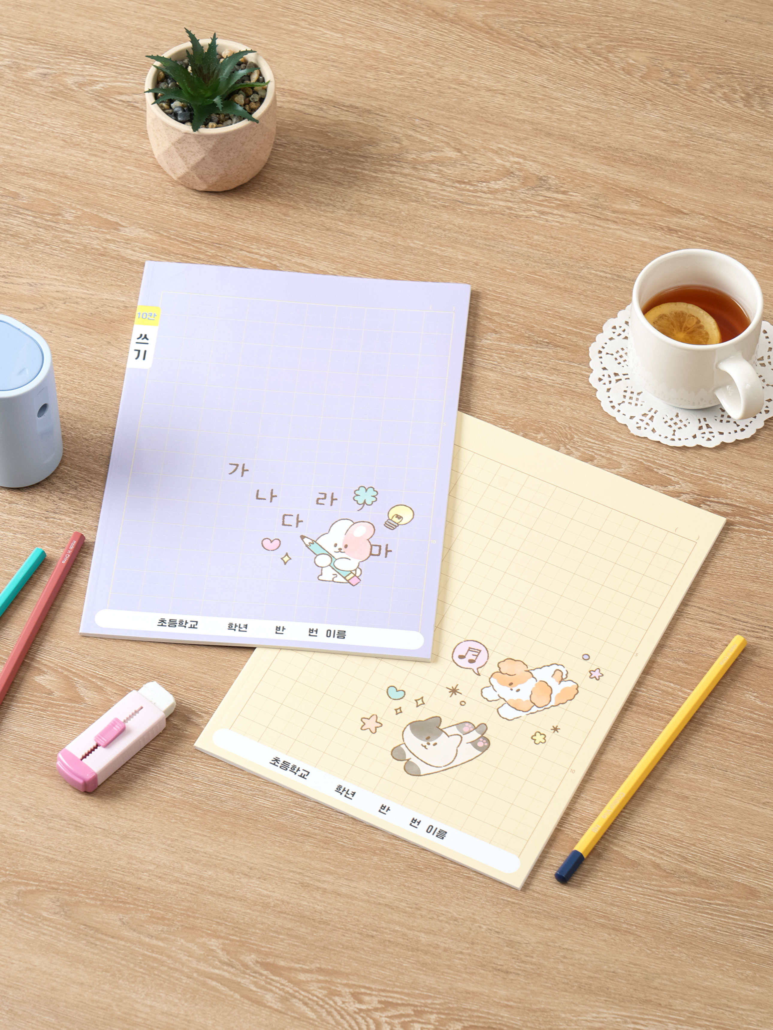 Elementary school 10-line writing notebook (10 books x 24 sheets)